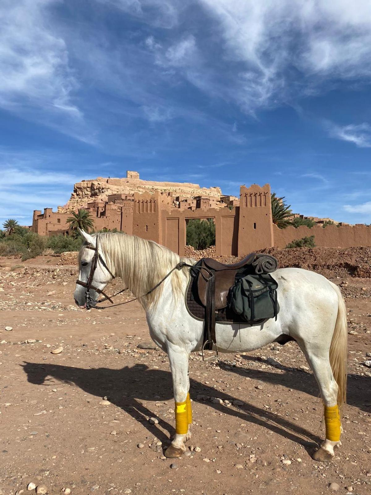 Taman'Art Space Ait Benhaddou Exterior foto